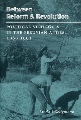 Between Reform and Revolution: Political Struggles in the Peruvian Andes, 1969-1991 