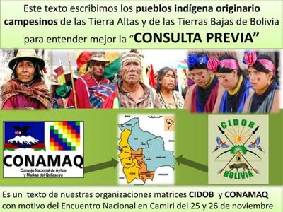 La "Consulta Previa" en opinión de los pueblos Indígenas 
